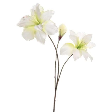AMARYLLIS 88 CM BLANCO VERDE