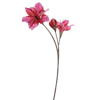 AMARYLLIS 88 CM FUCSIA