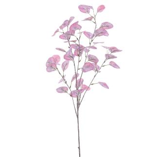 EUCALYPTUS 92 CM CREMA FUCSIA
