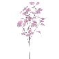 EUCALYPTUS 92 CM CREMA FUCSIA