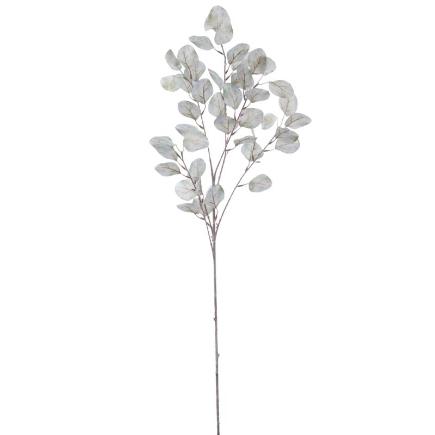 EUCALYPTUS 92 CM GRIS PERLA