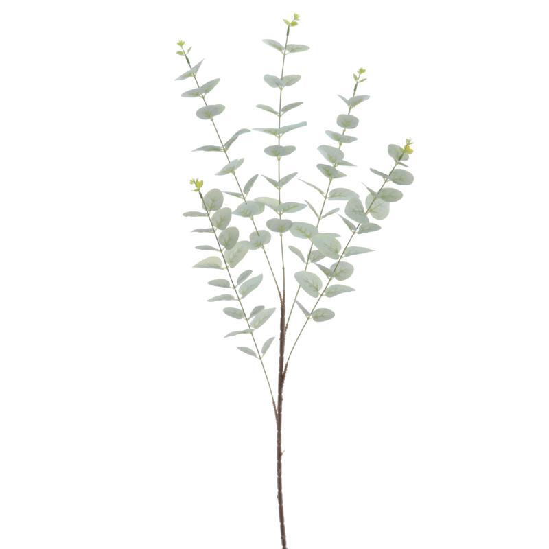 EUCALYPTUS VERDE CLARO