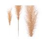 RAMA DECORATIVA 110 CM BEIGE