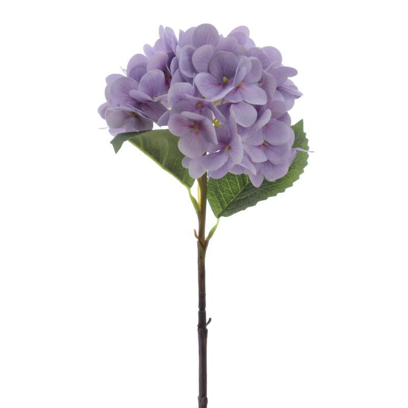 HORTENSIA (TN) LILA