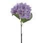 HORTENSIA (TN) LILA