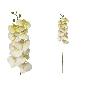 VARA ORQUIDEA X 9 R/TOUCH (S) 89 CM CREMA