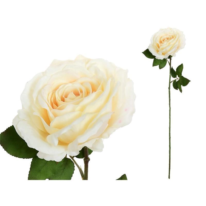 VARA ROSA CAROLINA (A)-67 CM CREMA