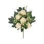 CONJUNTO ROSAS LIA X 12-56 CM CREMA