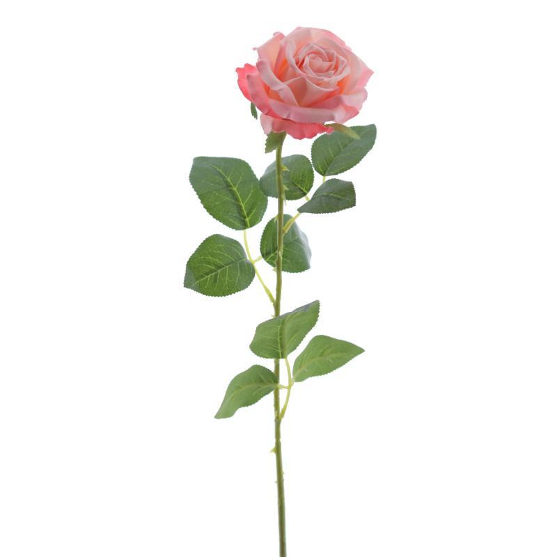 ROSA SALMON