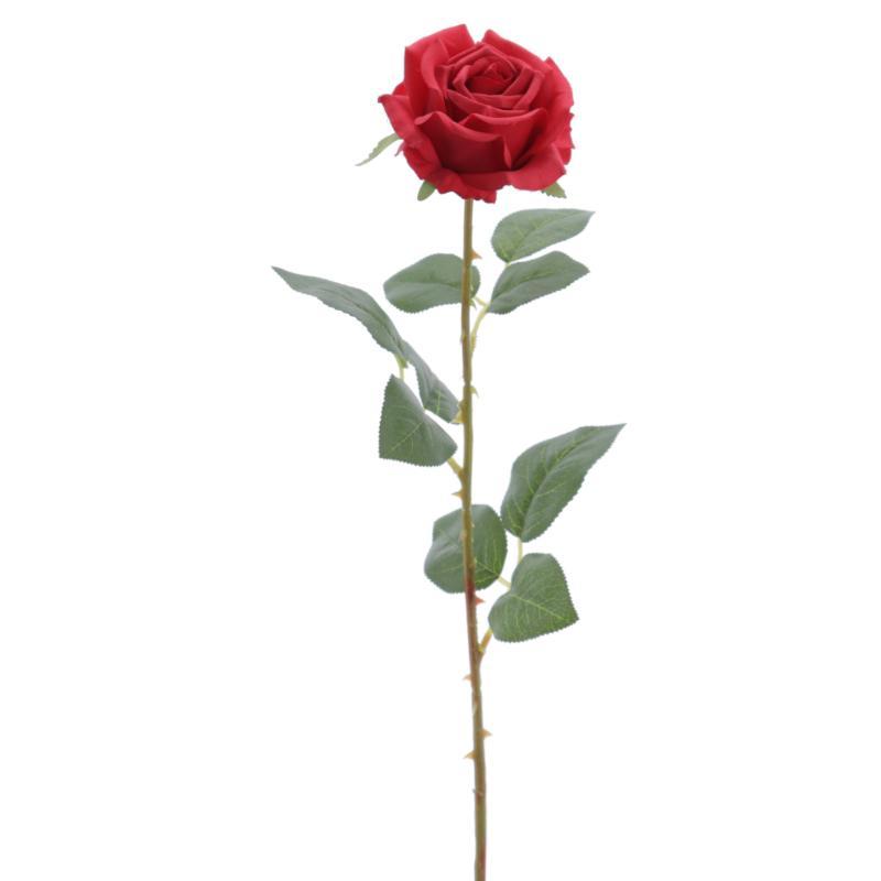 ROSA ROJO