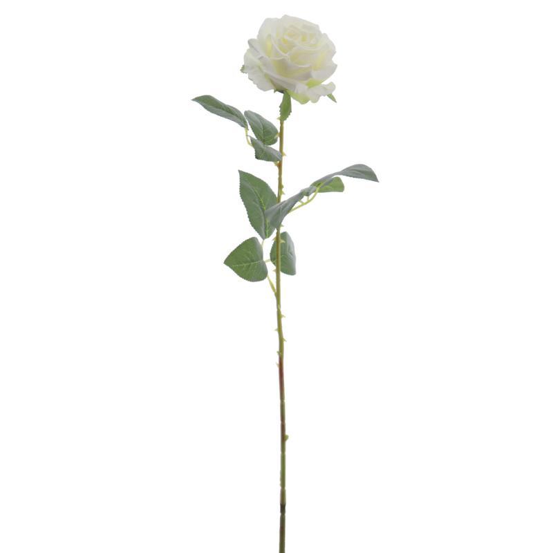 ROSA CREMA