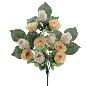PALMA ROSAS CAPULLOS SALMON