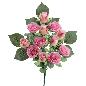 PALMA ROSAS CAPULLOS ROSA