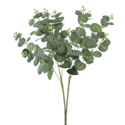 RAMO EUCALYPTUS VERDE