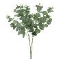 RAMO EUCALYPTUS VERDE