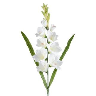 GLADIOLO X11 BLANCO 99 CM
