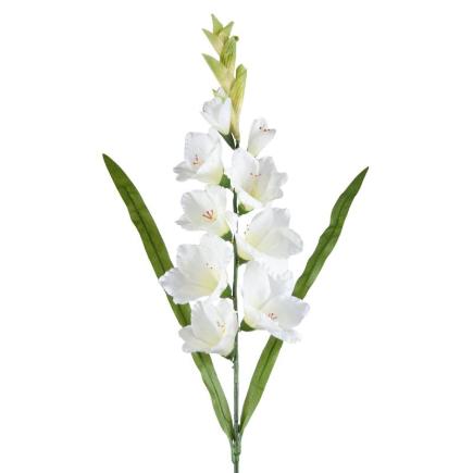 GLADIOLO X11 BLANCO 99 CM