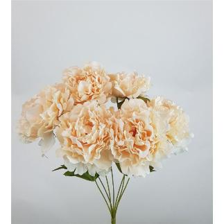 RAMO PEONIA X 7 50X37 CM VAINILLA