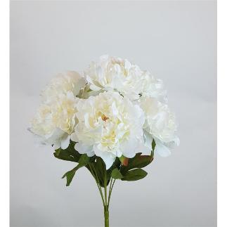 RAMO PEONIA X 7 50X37 CM CREMA