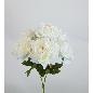 RAMO PEONIA X 7 50X37 CM CREMA