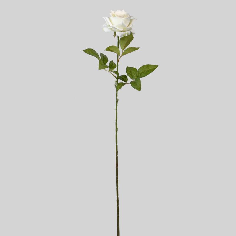 ROSA X 1 72 CM BLANCO