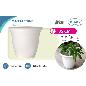 MACETA TERME BLANCA 35 CM