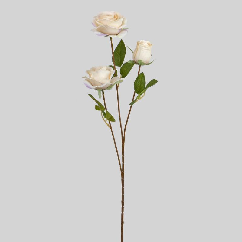 ROSA X 3 70 CM VAINILLA
