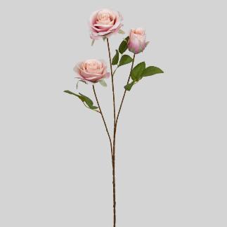 ROSA X 3 70 CM CORAL