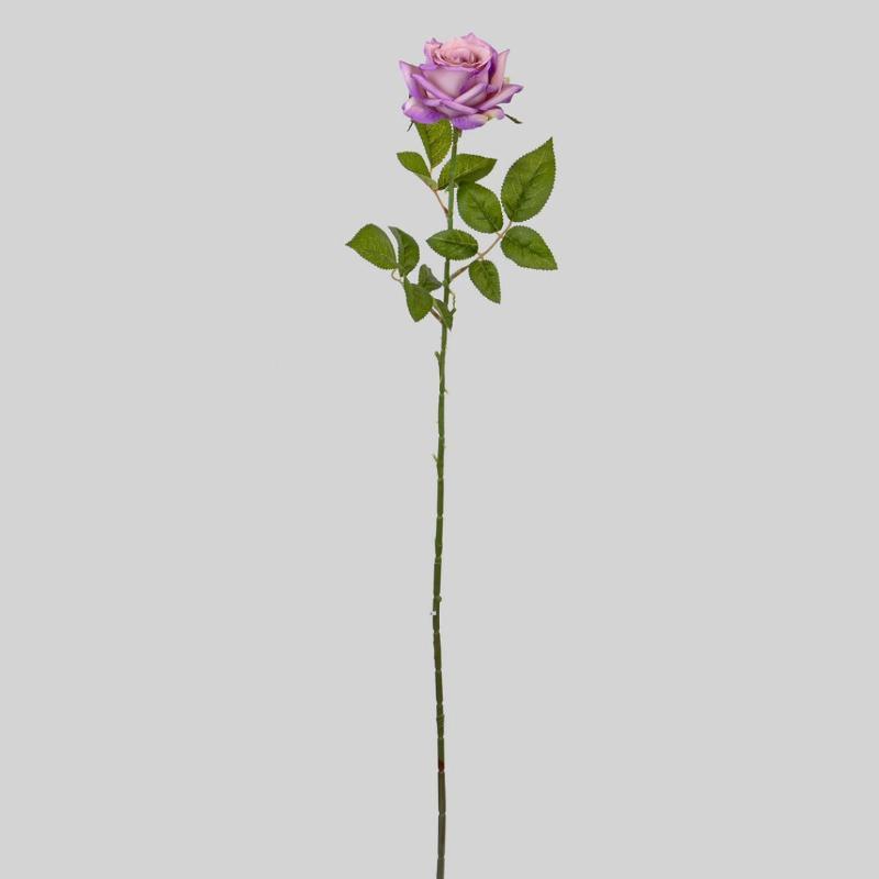ROSA X1 72 CM LILA