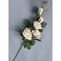 VARA ROSAS *3 ROSA *2 CAPULLOS BEIGE