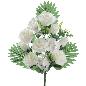 PALMA ROSAS CAPULLOS CREMA