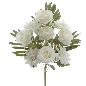 PALMA ROSAS DAHLIAS CREMA