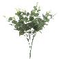 RAMO EUCALYPTUS VERDE
