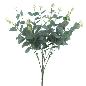 RAMO EUCALYPTUS VERDE OSCURO