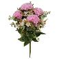 R. CLAVELES X 10 ROSA