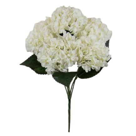 R.HORTENSIA X5 BLANCO