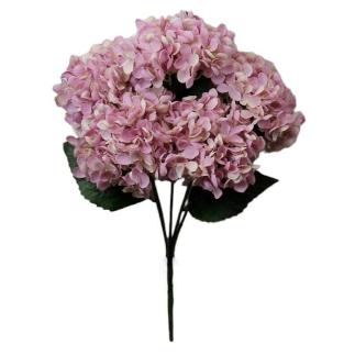 R.HORTENSIA X5 LILA