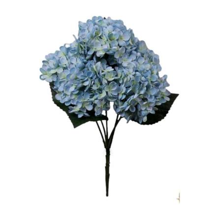 R. HORTENSIA X5 AZUL