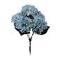 R. HORTENSIA X5 AZUL