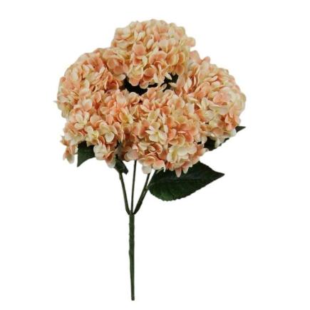 R. HORTENSIA X 5 MIEL
