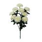 CLAVEL MICROPEACH X9 BLANCO