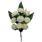 LISO CLAVELES X9 CREMA