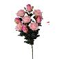 R.CAPULLO ROSA X 9 MELOCOTON