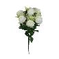 R. ROSA CRISANTEMO X10 BLANCO