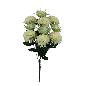 R. CRISTANTEMO POM POM X10 CREMA
