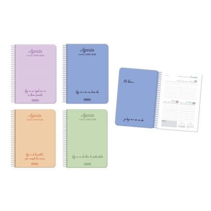 AGENDA ESCOLAR POSITIVE 4 2D P CAS 25-26 T CARTON
