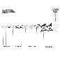 PINCHO X12 PCS MARIPOSA 2 COL SRT 25X6/8/10/11