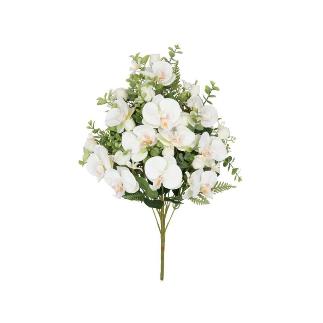 CONJUNTO ORQUIDEAS-CAP X 11-56 CM BLANCO