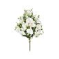 CONJUNTO ORQUIDEAS-CAP X 11-56 CM BLANCO