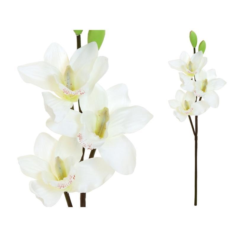 VARA CYMBIDIUM X3-52 CM BLANCO